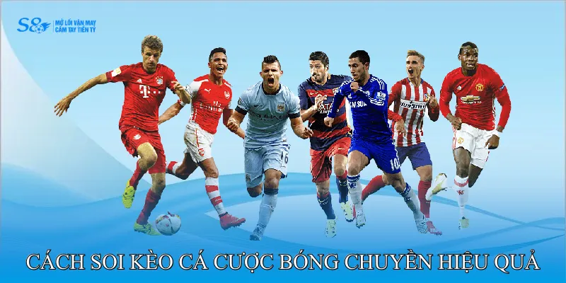 Cá Cược Bóng Chuyền Bí Quyết Dự Đoán Kết Quả Set Đấu 4 Cách soi kèo cá cược bóng chuyền hiệu quả