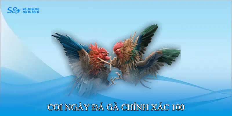Coi Ngày Đá Gà Chính Xác 100 Xác Định Ngày Và Giờ Hoàn Hảo 1 Coi ngày đá gà chính xác 100