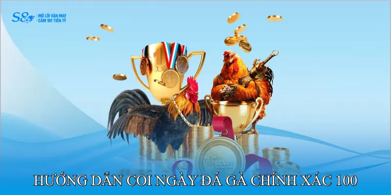 Coi Ngày Đá Gà Chính Xác 100 Xác Định Ngày Và Giờ Hoàn Hảo 4 Hướng Dẫn Coi Ngày Đá Gà Chính Xác 100
