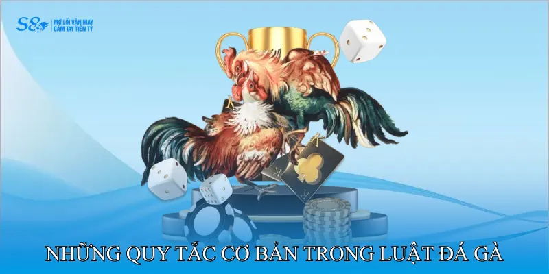 Luật Đá Gà Áp Dụng Trong Trận Đấu Truyền Thống Hiệu Quả 2 Những Quy Tắc Cơ Bản Trong Luật Đá Gà